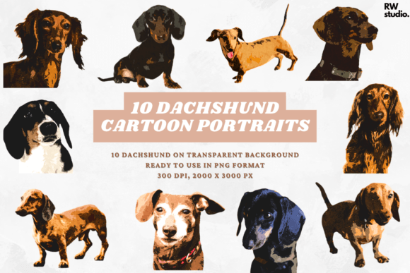 10 Dachshund Cartoon Portraits Dog Breed