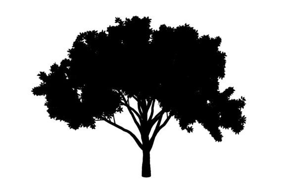 Africa Tree Silhouette: A Versatile Graphic for Creative and Professional Projects