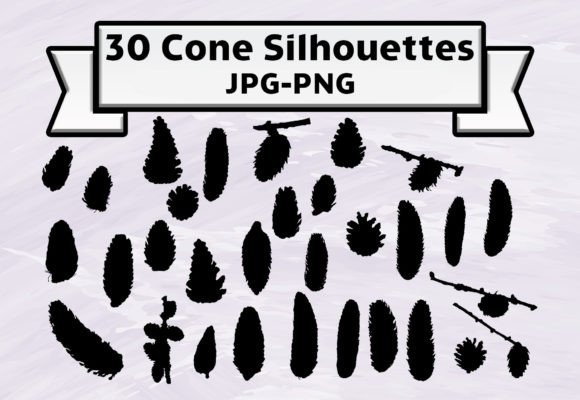 Biology Fir Spruce Cone Clipart