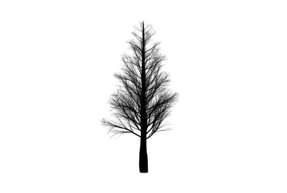 Black Tree Silhouette: A Versatile Design Element for Creators and Businesses