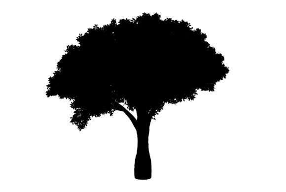 Drawing Tree Artwork for Creative Projects