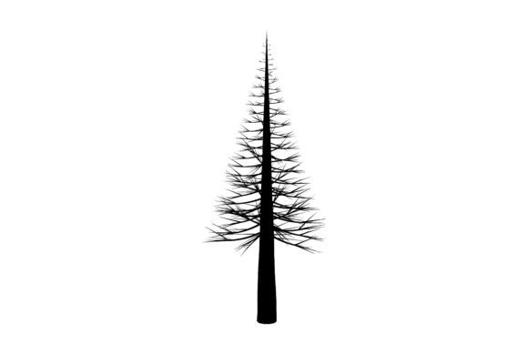 Evergreen Fir Tree Silhouette: A Versatile Element for Designers and Creators