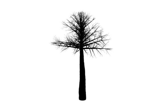 Natural Tree Silhouette Design