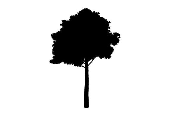Organic Tree Graphic