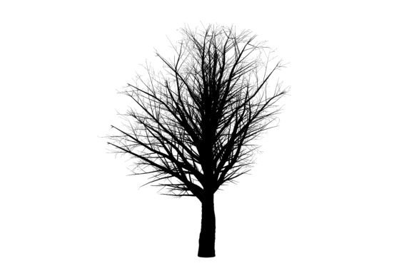 Season Tree Art for Creative Projects