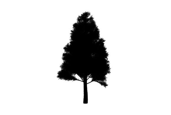 Simplicity Tree Graphic Design: A Versatile Tool for Creative Projects
