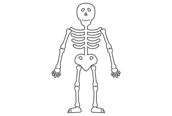 Skeleton Drawing Art: A Spooky Creative Tool for Halloween and Beyond