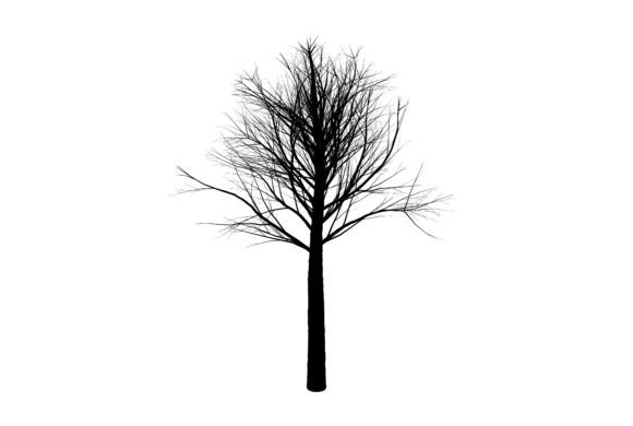 Winter Tree Graphic Element